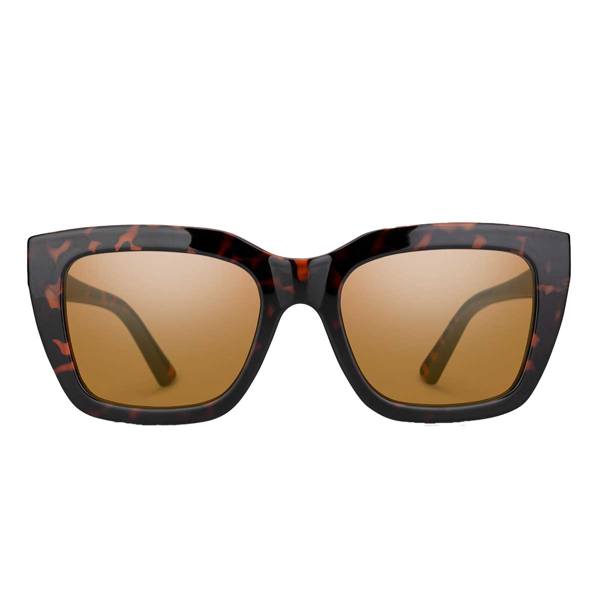 Suncloud Marion Sunglasses Polarized in Tortoise with Brown